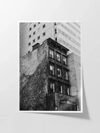 Uptown New York Building in Vines