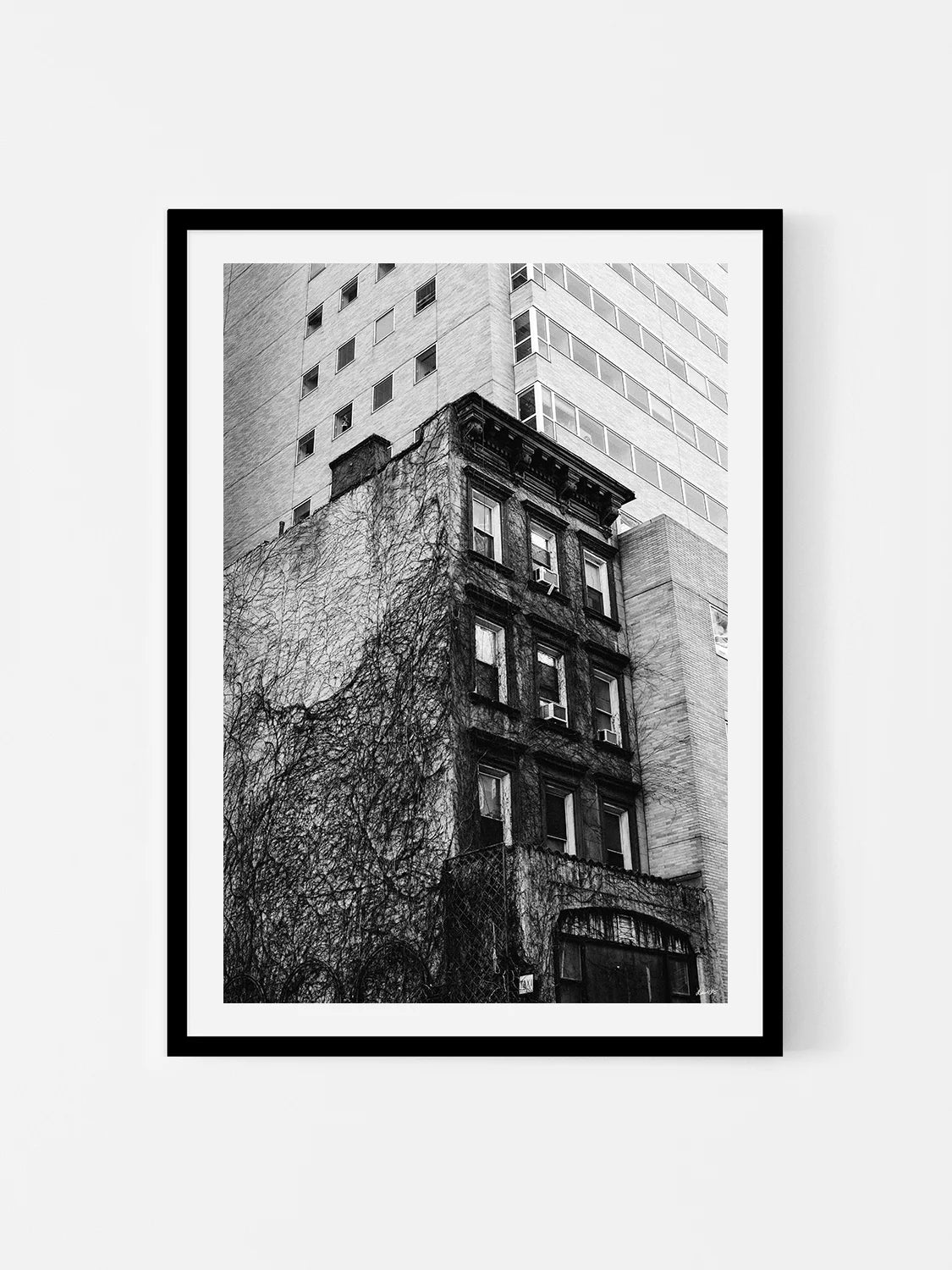 Uptown New York Building in Vines