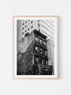 Uptown New York Building in Vines