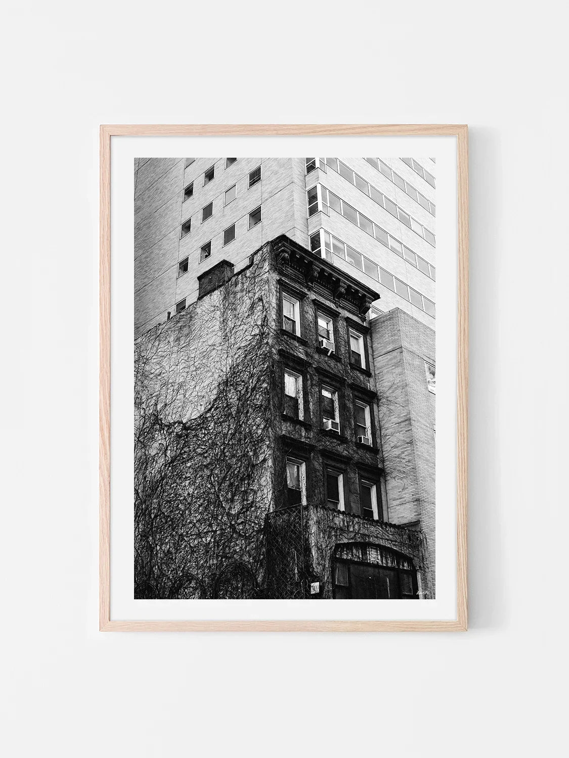 Uptown New York Building in Vines
