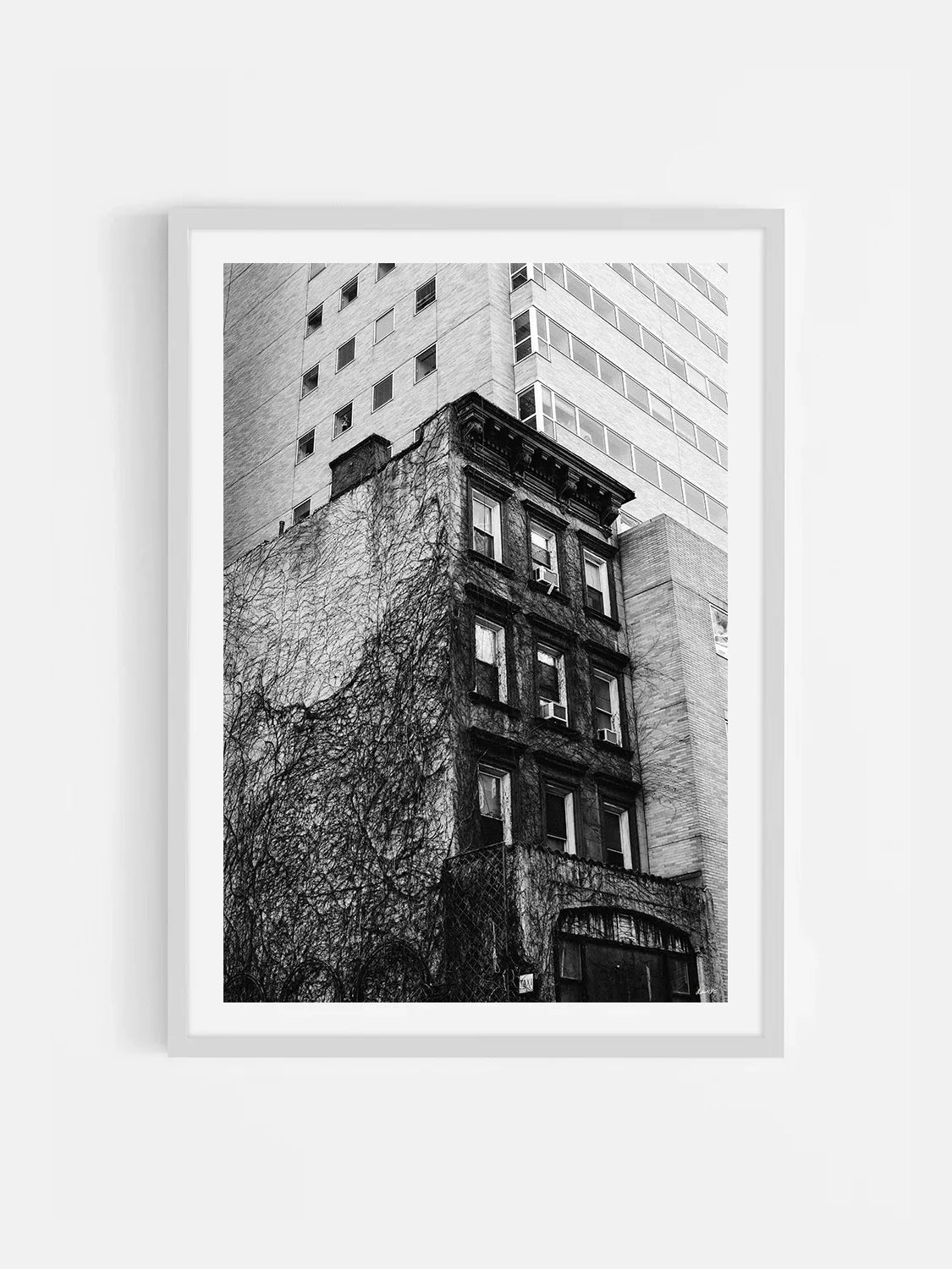 Uptown New York Building in Vines