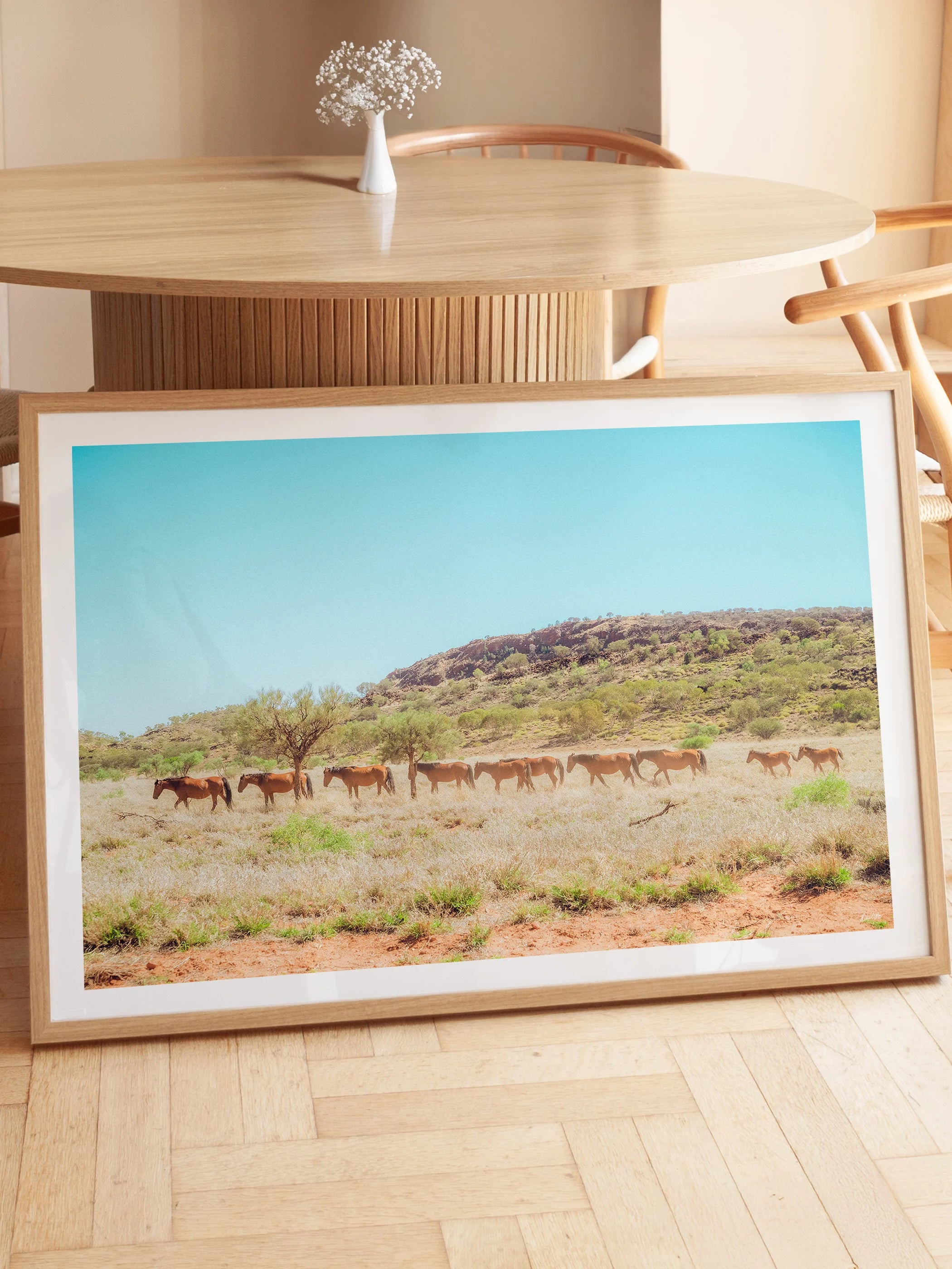 Wild Horses on Kings Canyon Approach