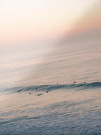 Winkipop Sunrise Surf