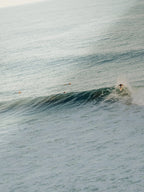 Winkipop Surfer at Sunset