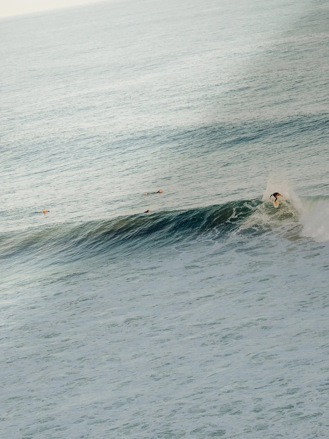 Winkipop Surfer at Sunset