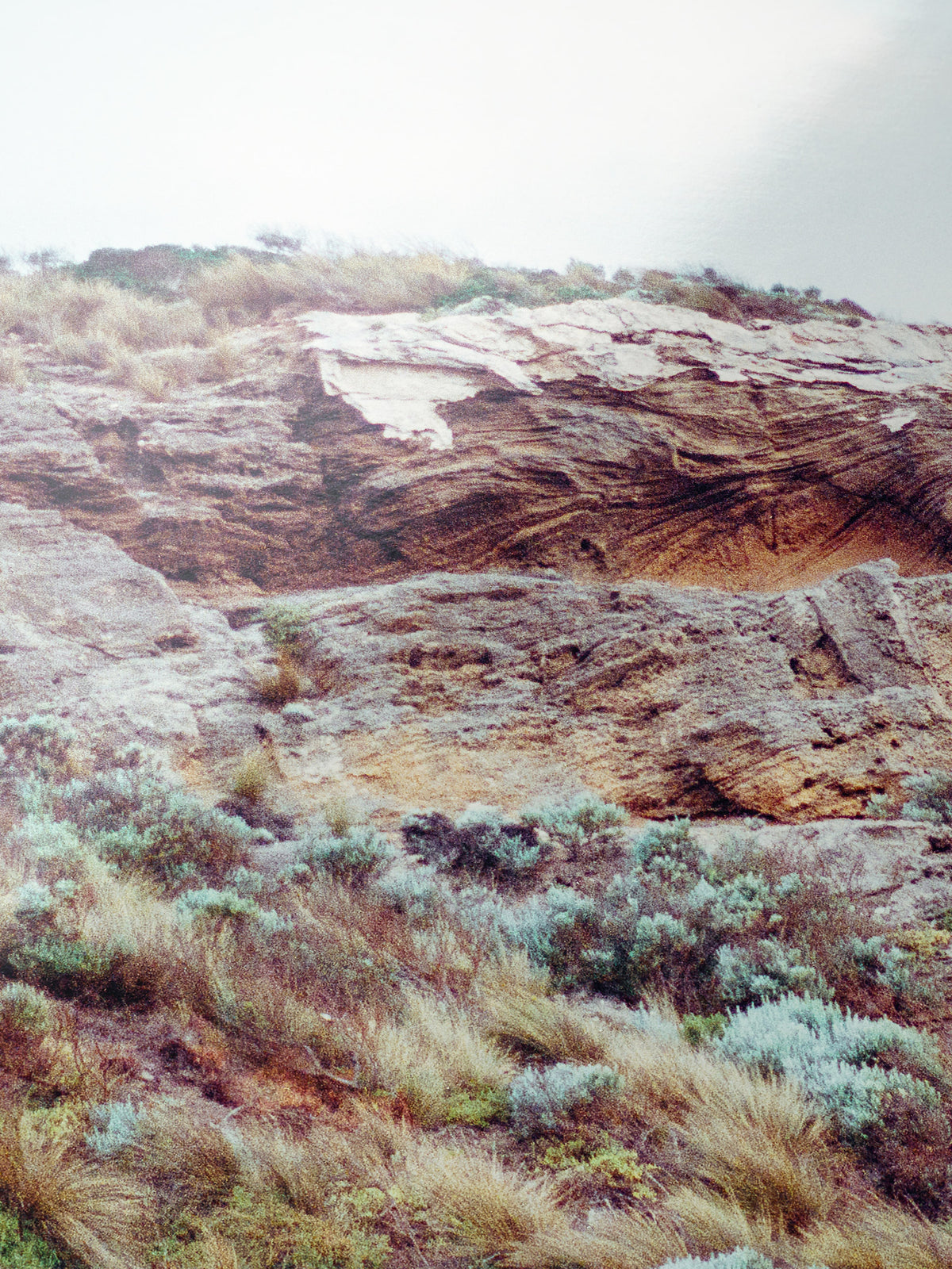 Close-up detail of the Barwon Heads Bluff giclée print on archival Smooth Pearl photo paper