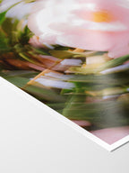 Corner of the Bright Flower Series - Camellia Japonica Pink print showing archival Smooth Pearl photo paper and white border