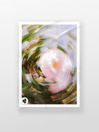 Bright Flower Series - Camellia Japonica Pink print in a protective sleeve
