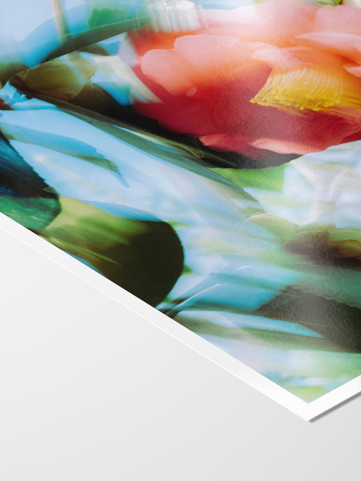 Corner of the Bright Flower Series - Camellia Japonica Red print showing archival Smooth Pearl photo paper and white border