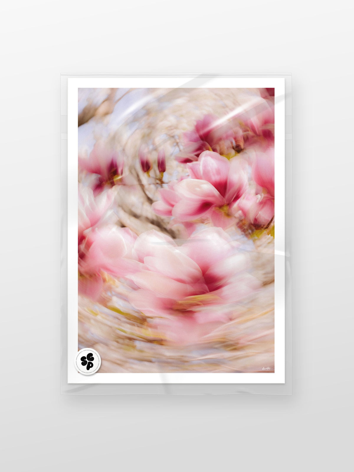 Bright Flower Series - Magnolia × Soulangeana in White, Pink and Red print in a protective sleeve