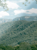 Close-up detail of the Mount Buffalo in Spring Midday Sun giclée print on archival Smooth Pearl photo paper