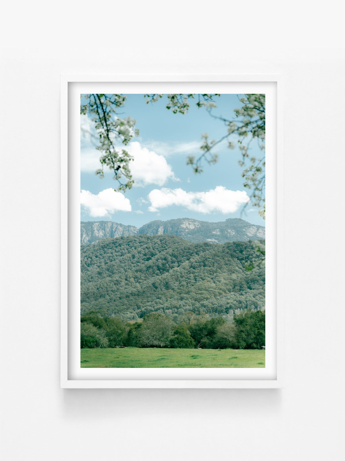 Mount Buffalo in Spring Midday Sun print in a white shadowbox frame, North East Victoria