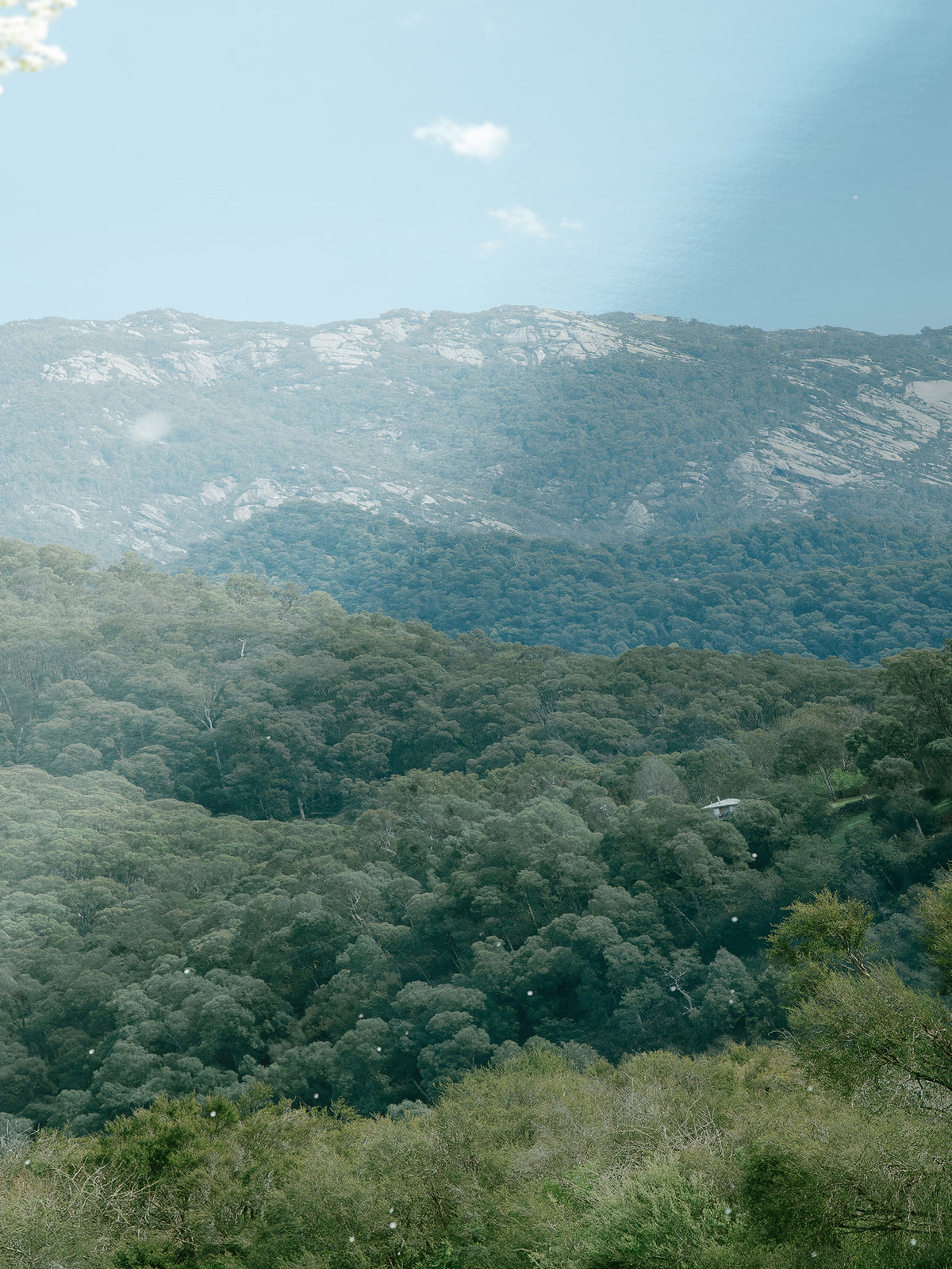 Close-up detail of the Mount Buffalo Spring View from Porepunkah giclée print on archival Smooth Pearl photo paper