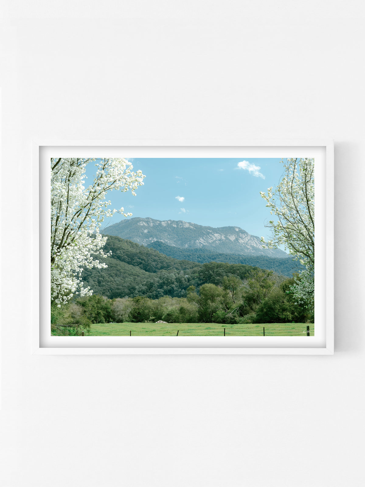 Mount Buffalo Spring View from Porepunkah print in a white shadowbox frame, North East Victoria