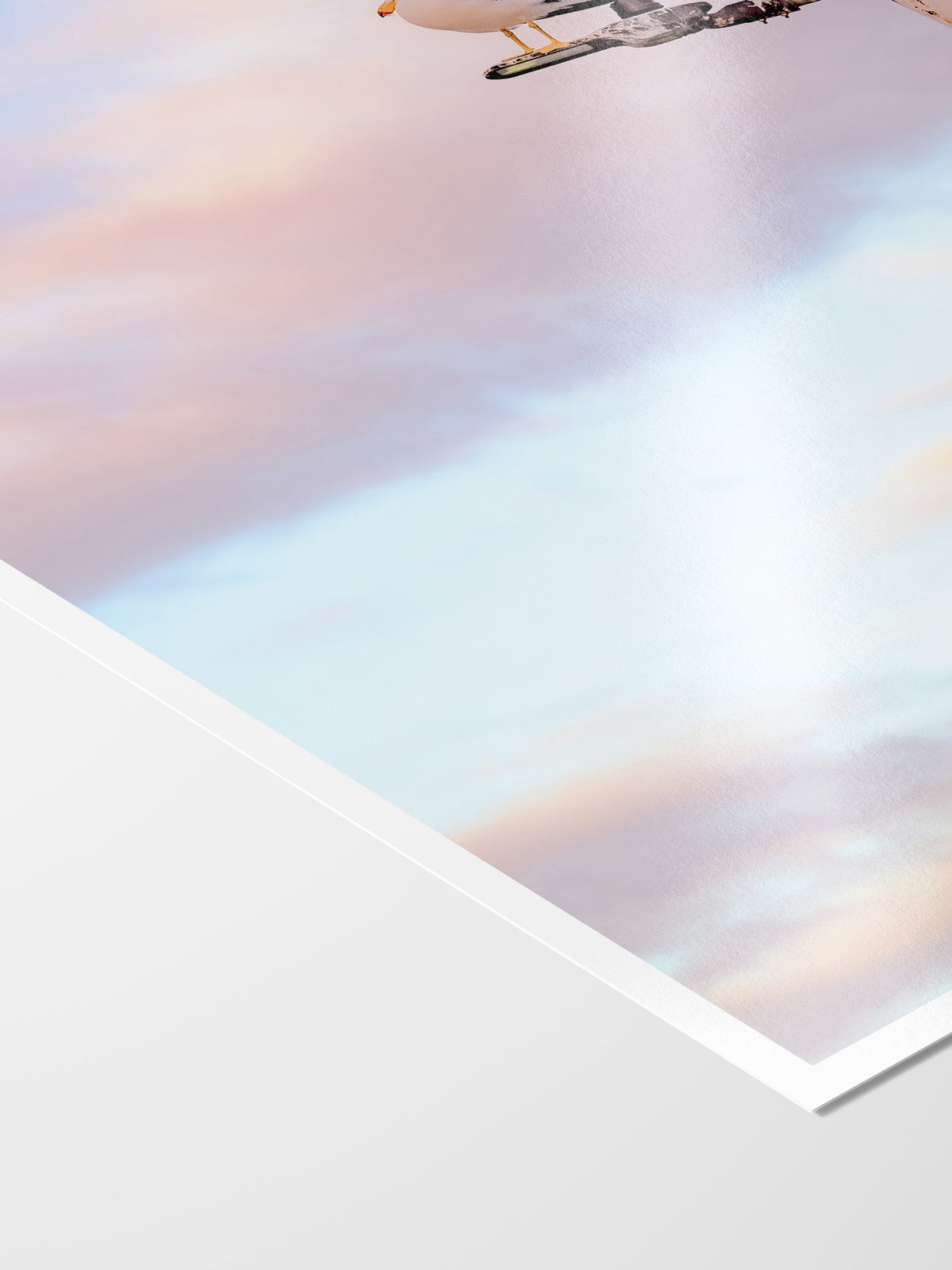 Corner of the Pacific Gull on Point Lonsdale Pier print showing archival Smooth Pearl photo paper and white border