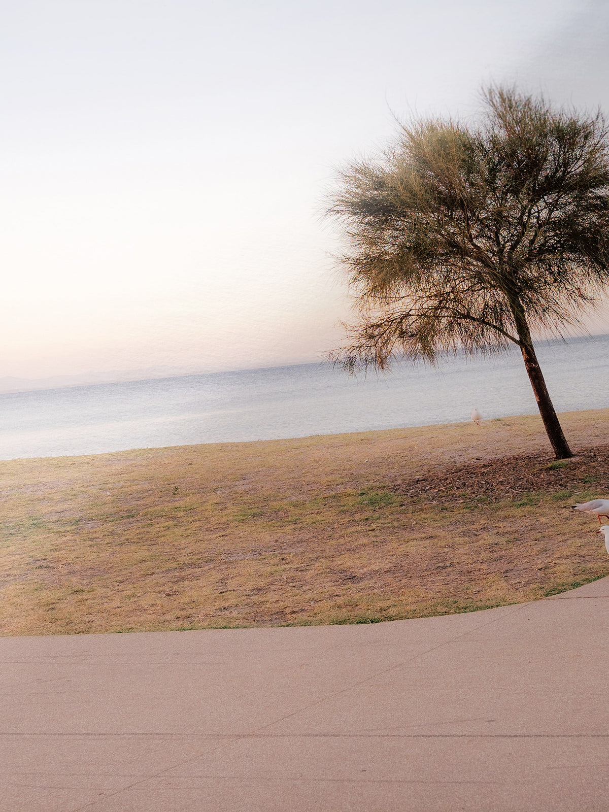 Close-up detail of the Portarlington Beach at Sunset giclée print on archival Smooth Pearl photo paper