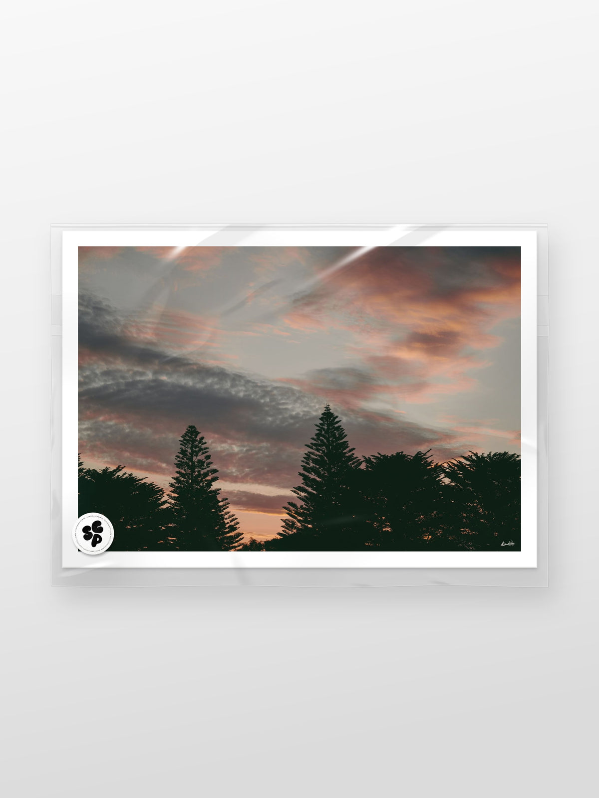 Princess Park Queenscliff Trees and Sky at Sunset print in a protective sleeve