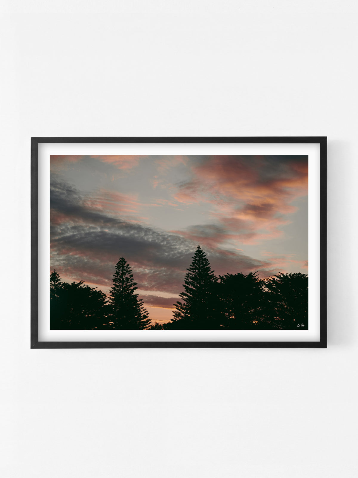 Princess Park Queenscliff Trees and Sky at Sunset print in a black shadowbox frame