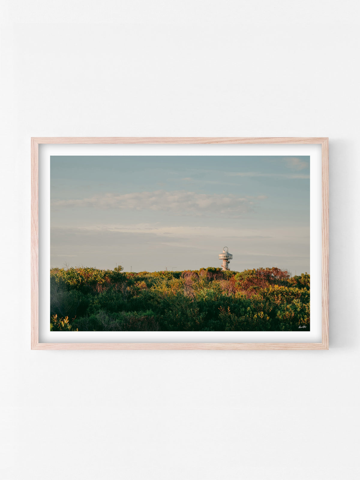 Queenscliff Harbour Observation Tower at Sunset print in a natural oak shadowbox frame