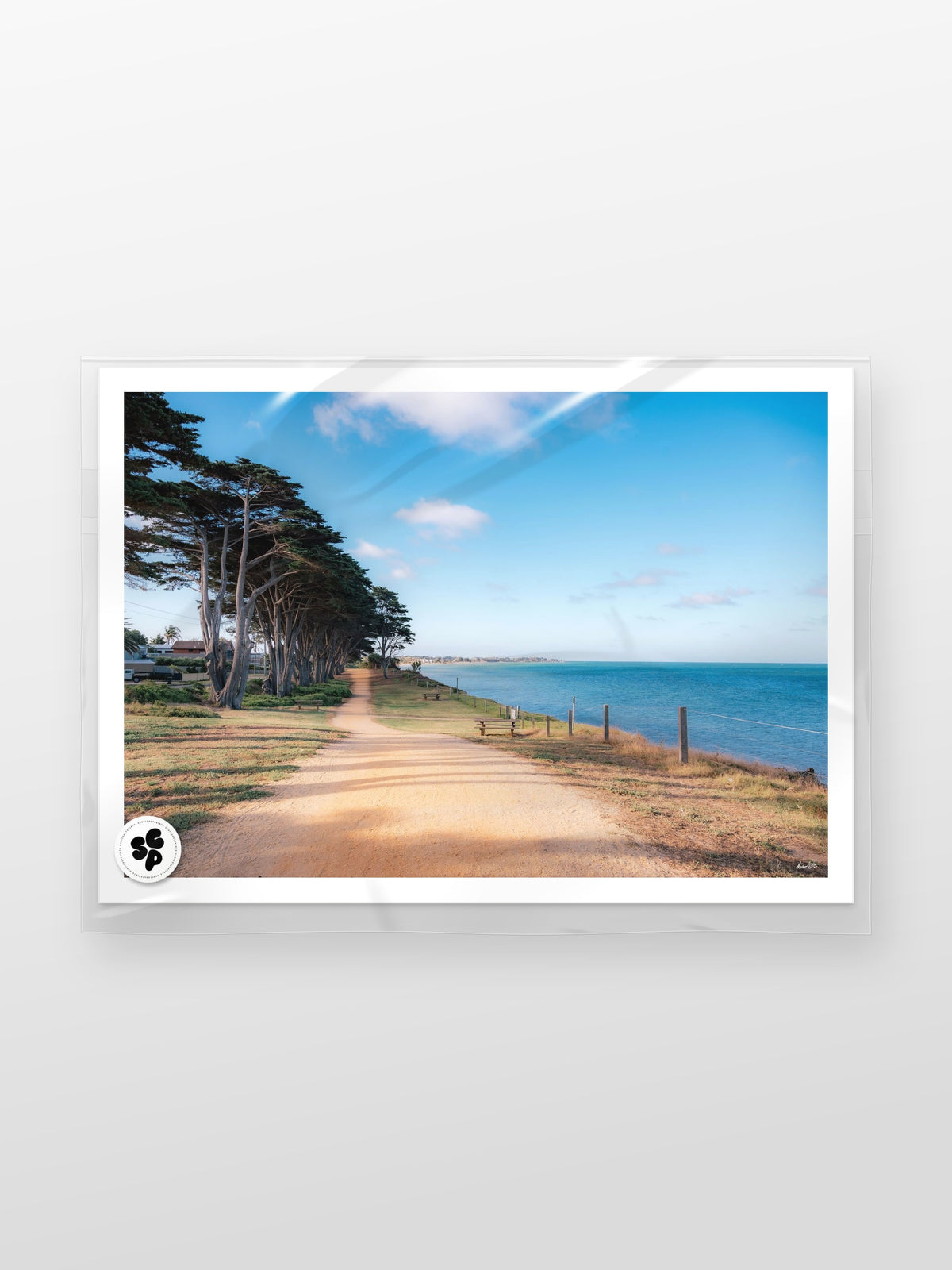 St Leonards to Indented Head View print in a protective sleeve