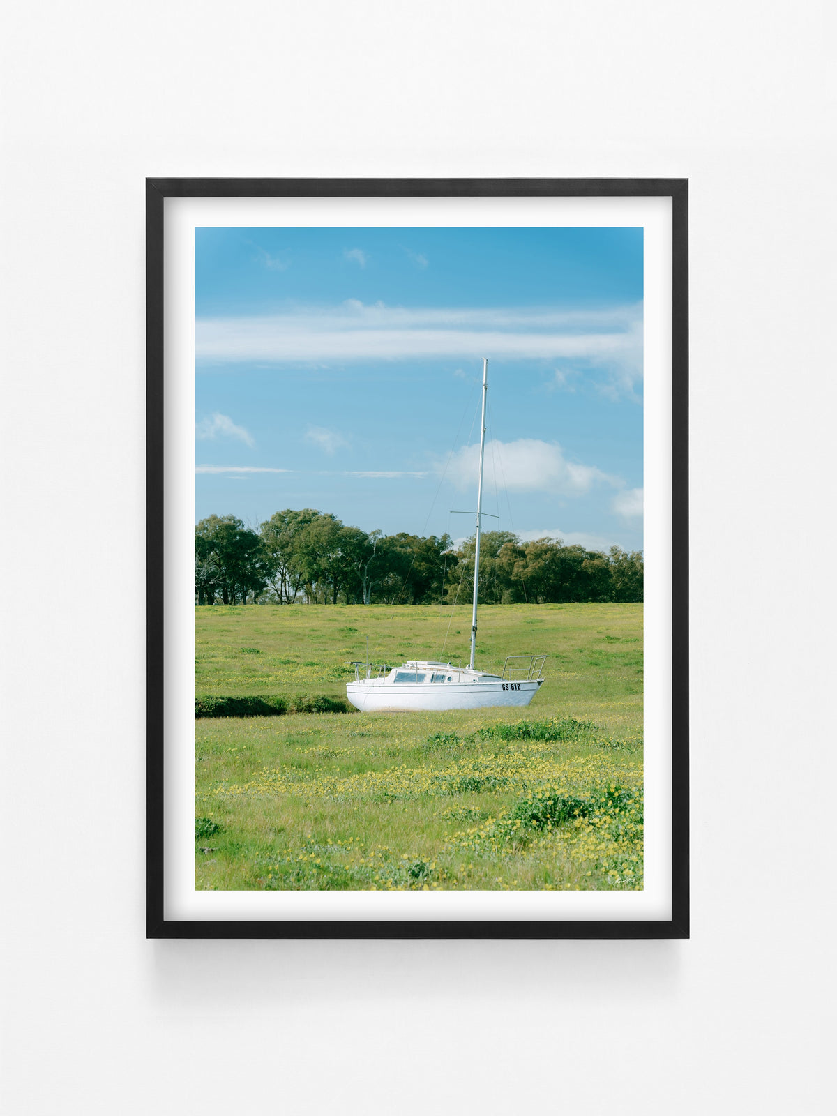 Stranded print in a black shadowbox frame